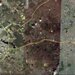 Fundulea, sat Gostilele, Mostistea,